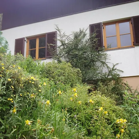 Holiday home Haus Ilse Bad Kleinkirchheim